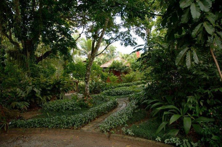 Vila Da Mata Hospedagem Boicucanga Exteriér fotografie